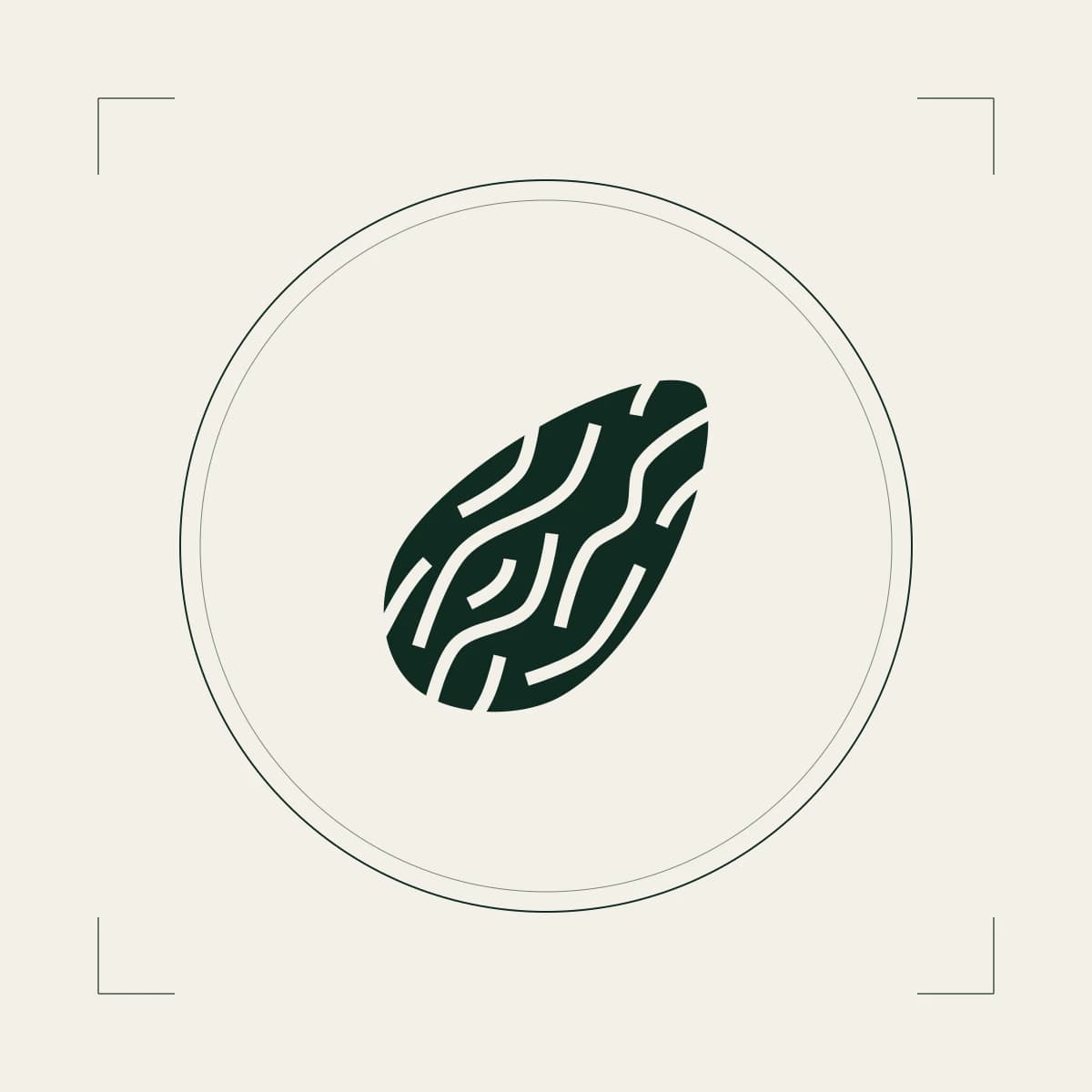 Argan Oil
